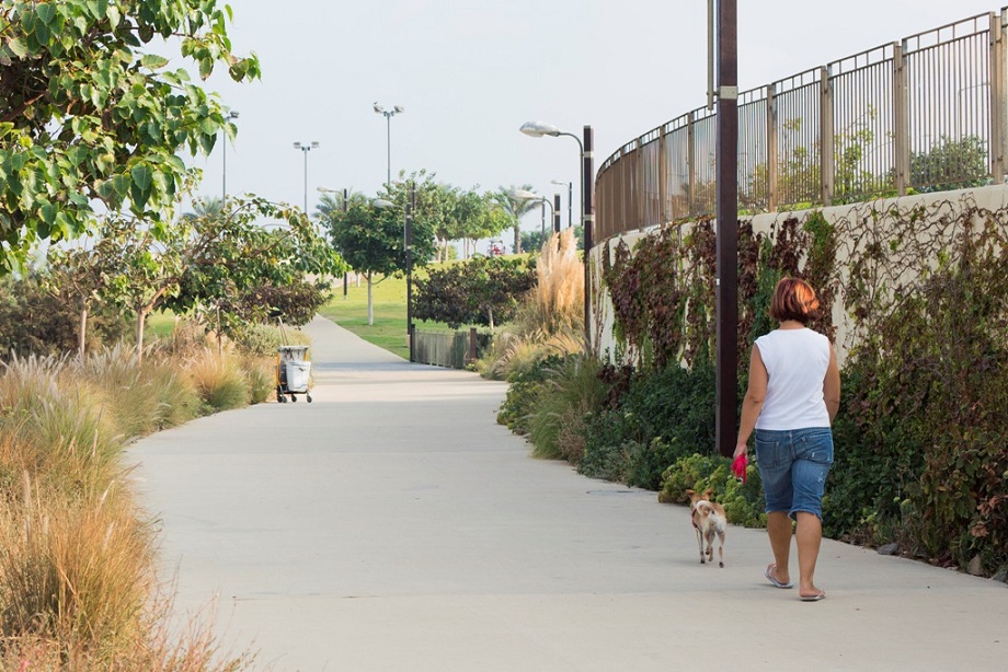 אישה מטיילת בפארק עם הכלב שלה