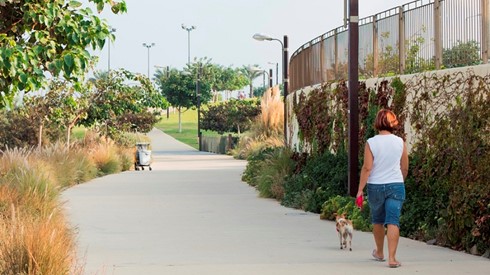 אישה מטיילת בפארק עם הכלב שלה
