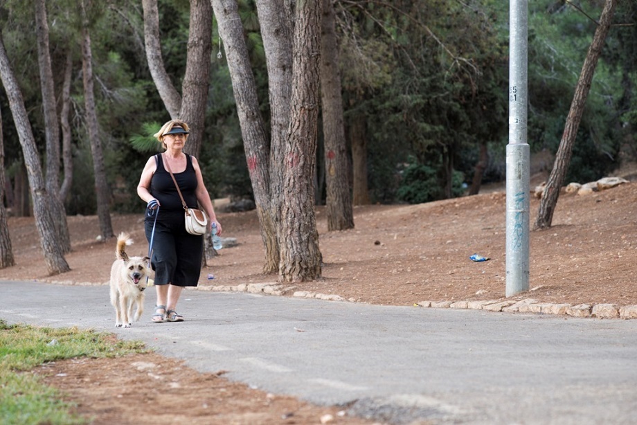 אישה מטיילת עם הכלב שלה בפארק