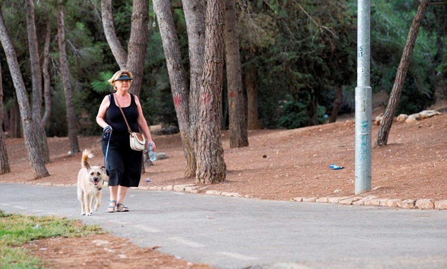 Woman walking dog in the park