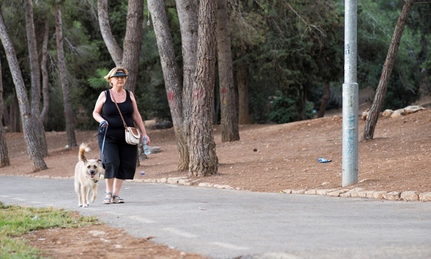 Woman walking dog in the park