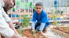 Efsharibari garden - children working in the garden